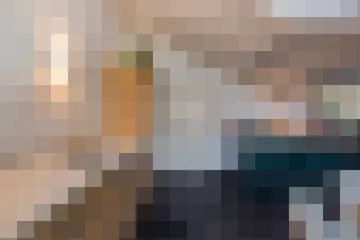 Zandeind 26 Riel thumbnail 39