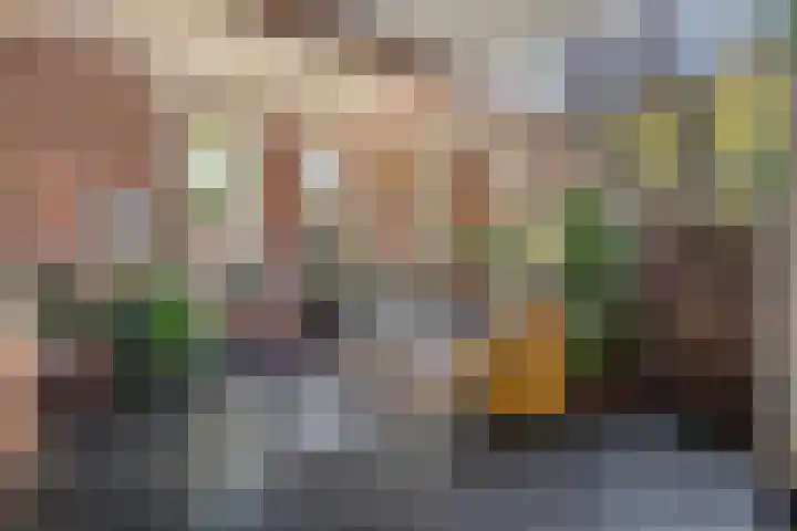 Zandeind 26 Riel thumbnail 4