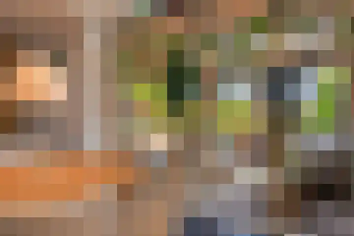 Zandeind 26 Riel thumbnail 42