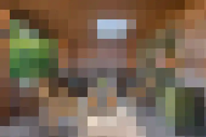 Zandeind 26 Riel thumbnail 44