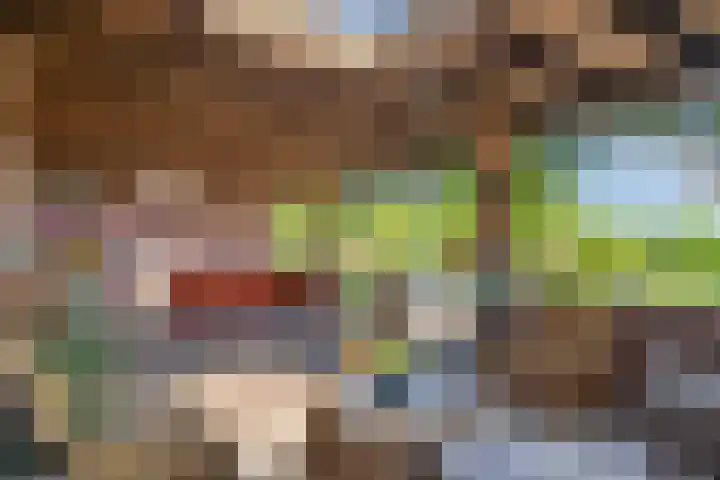Zandeind 26 Riel thumbnail 45