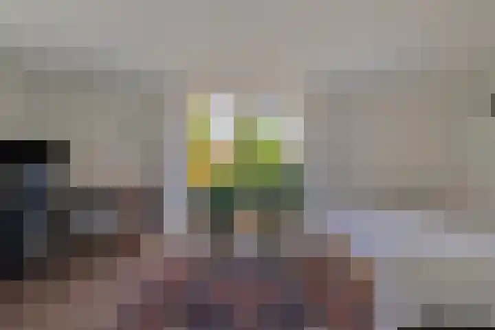 Zandeind 26 Riel thumbnail 47