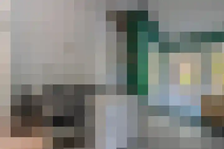 Zandeind 26 Riel thumbnail 54