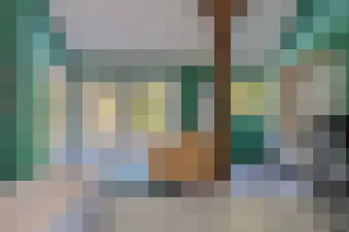 Zandeind 26 Riel thumbnail 55