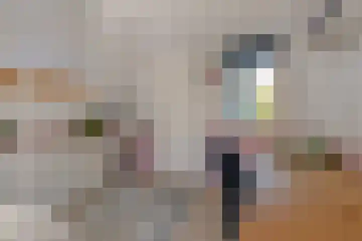 Zandeind 26 Riel thumbnail 65