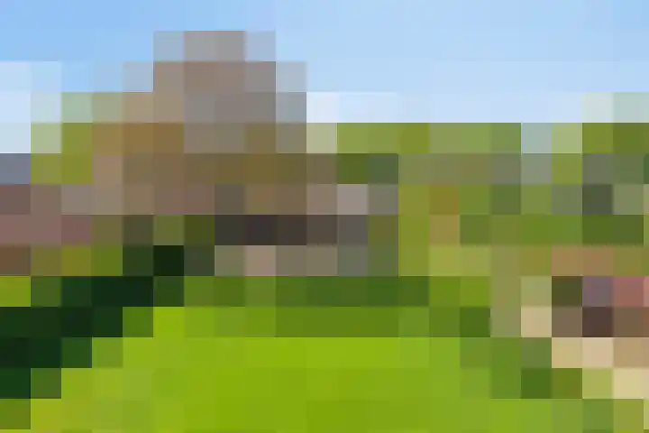 Zandeind 26 Riel thumbnail 71