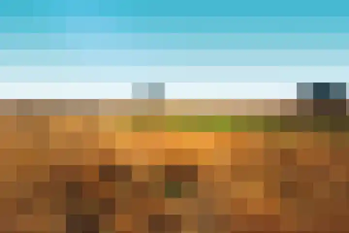 Zandeind 26 Riel thumbnail 80
