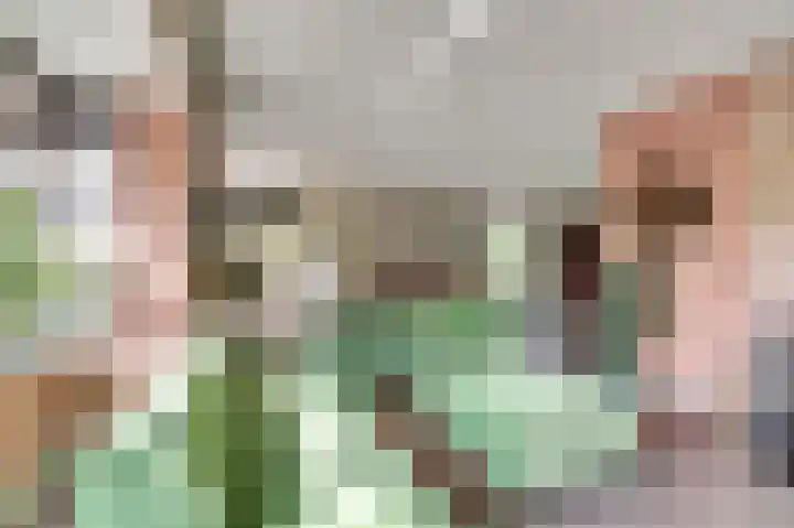 Zandekkers 13 Ravenswaaij thumbnail 10