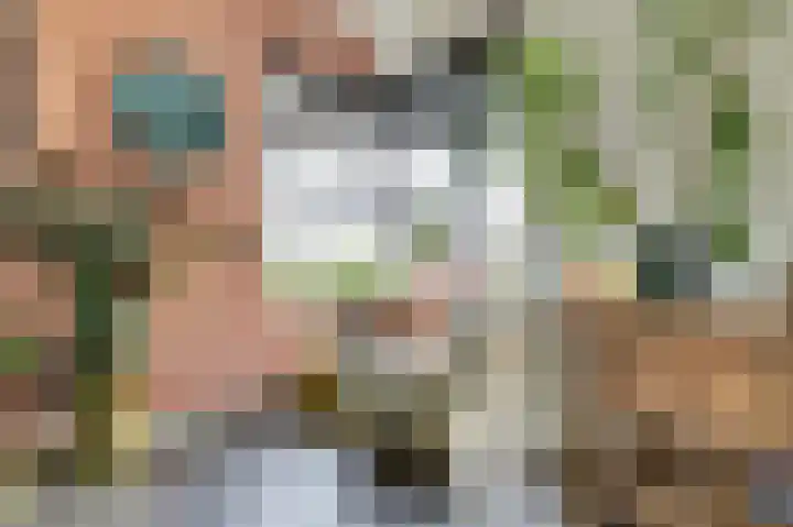 Zandekkers 13 Ravenswaaij thumbnail 13