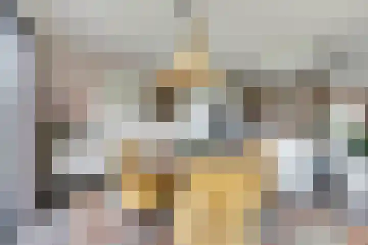 Zandekkers 13 Ravenswaaij thumbnail 16