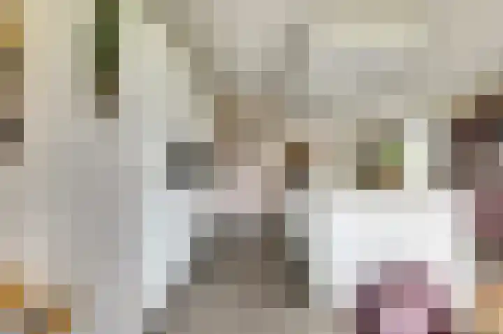 Zandekkers 13 Ravenswaaij thumbnail 18