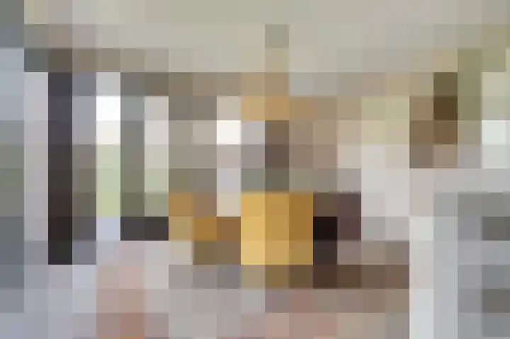 Zandekkers 13 Ravenswaaij thumbnail 22