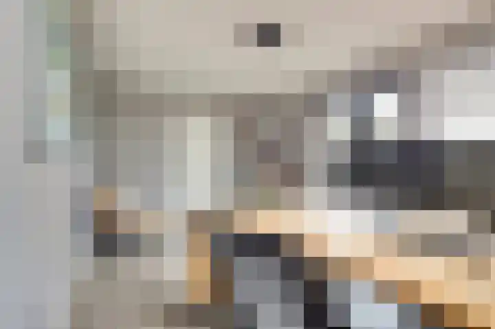 Zandekkers 13 Ravenswaaij thumbnail 24