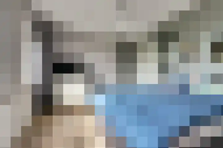 Zandekkers 13 Ravenswaaij thumbnail 33