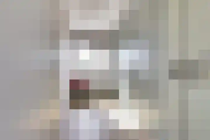 Zandekkers 13 Ravenswaaij thumbnail 37