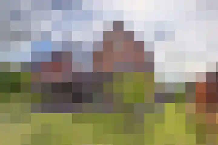 Zandekkers 13 Ravenswaaij thumbnail 4