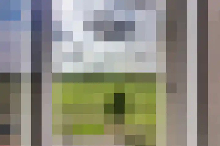 Zandekkers 13 Ravenswaaij thumbnail 51