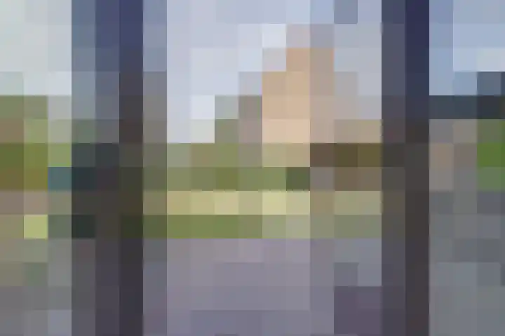 Zandekkers 13 Ravenswaaij thumbnail 54