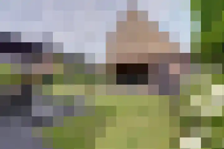 Zandekkers 13 Ravenswaaij thumbnail 55