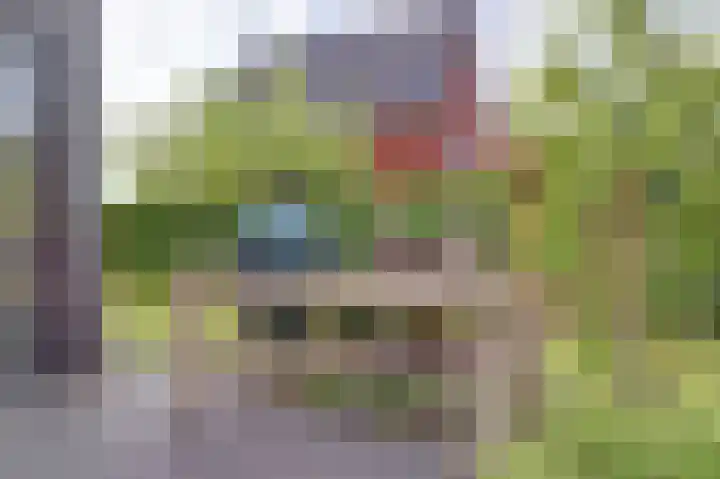 Zandekkers 13 Ravenswaaij thumbnail 56