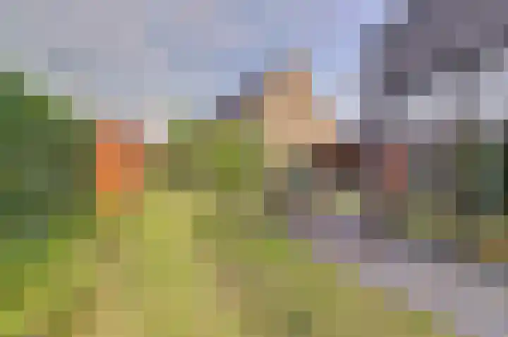 Zandekkers 13 Ravenswaaij thumbnail 58