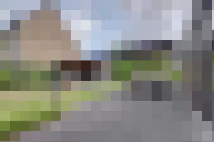 Zandekkers 13 Ravenswaaij thumbnail 59