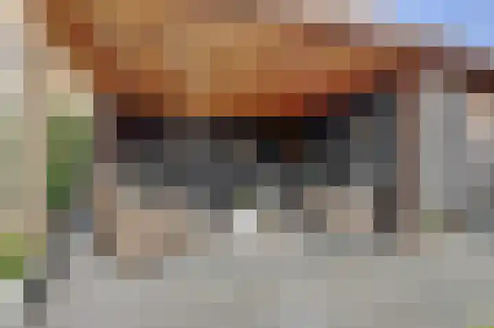 Zandekkers 13 Ravenswaaij thumbnail 60