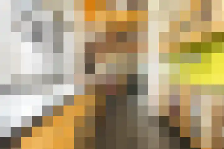 Zandelaan 1 Siddeburen thumbnail 10