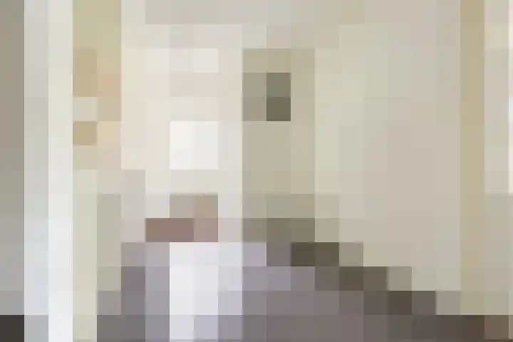 Zandelaan 1 Siddeburen thumbnail 11