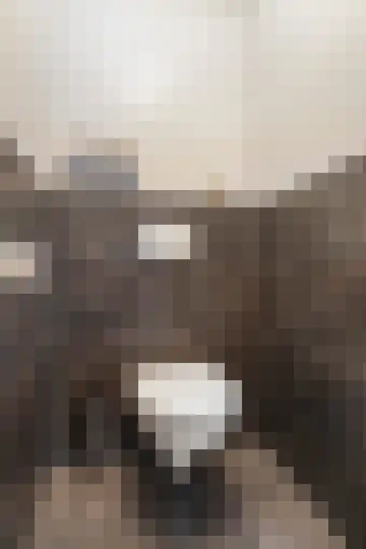 Zandelaan 1 Siddeburen thumbnail 15