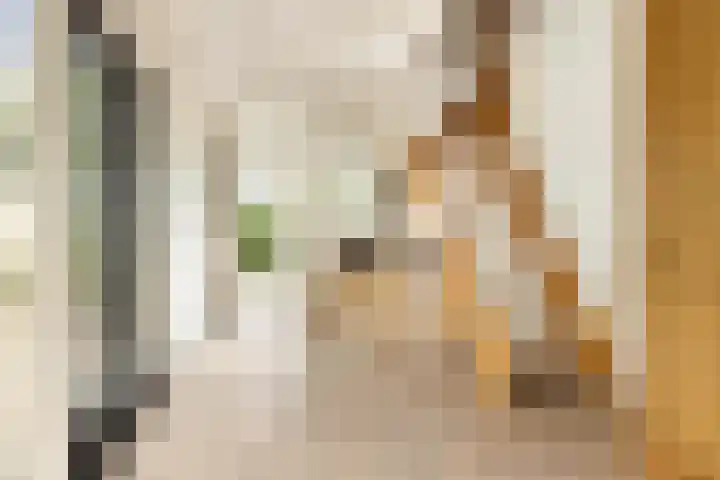 Zandelaan 1 Siddeburen thumbnail 16