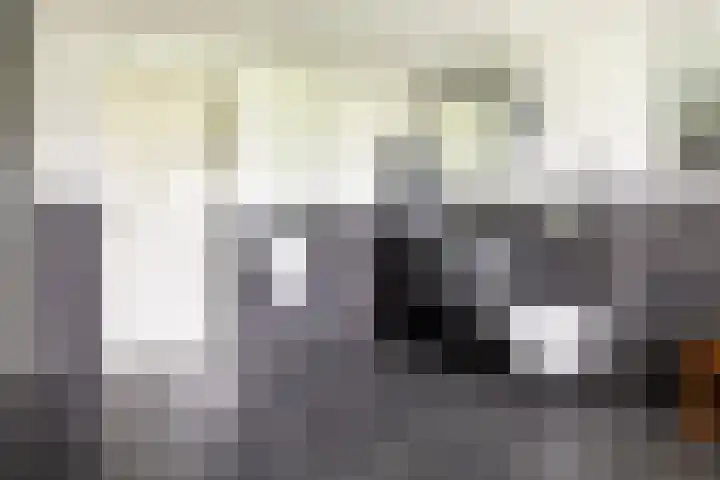 Zandelaan 1 Siddeburen thumbnail 22