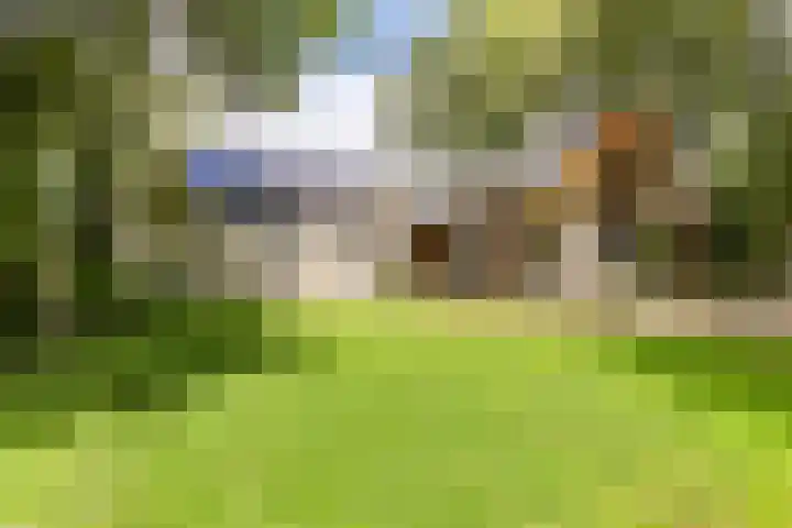 Zandelaan 1 Siddeburen foto 3