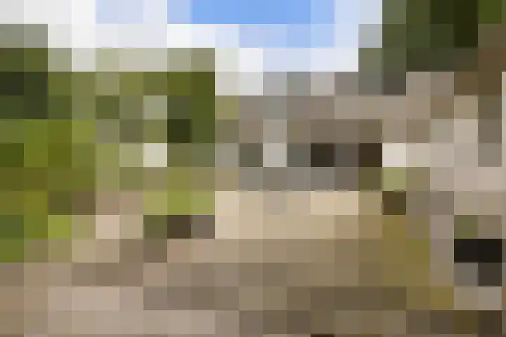 Zandelaan 1 Siddeburen thumbnail 30