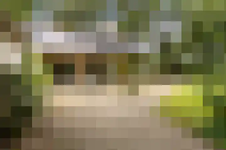 Zandelaan 1 Siddeburen thumbnail 31