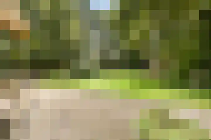 Zandelaan 1 Siddeburen thumbnail 32