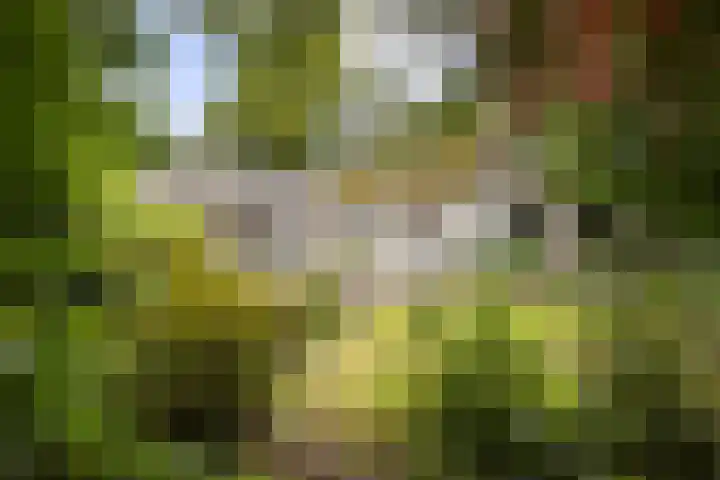 Zandelaan 1 Siddeburen thumbnail 33