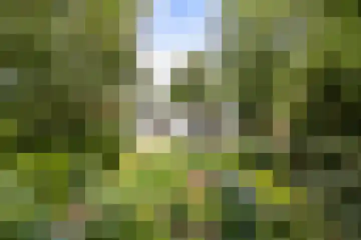 Zandelaan 1 Siddeburen thumbnail 34