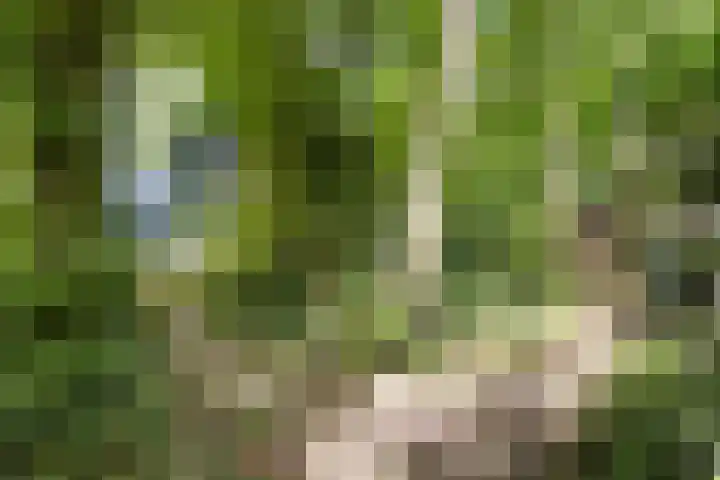 Zandelaan 1 Siddeburen thumbnail 35
