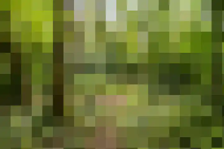 Zandelaan 1 Siddeburen thumbnail 36