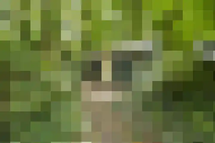 Zandelaan 1 Siddeburen thumbnail 37