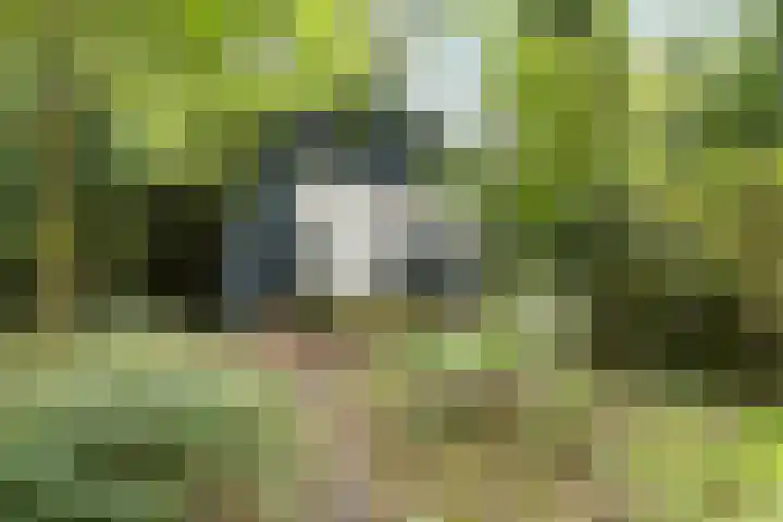 Zandelaan 1 Siddeburen thumbnail 38