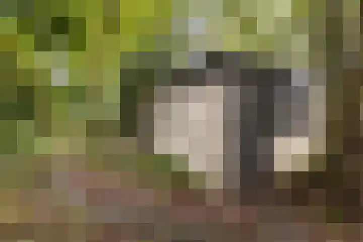 Zandelaan 1 Siddeburen thumbnail 39