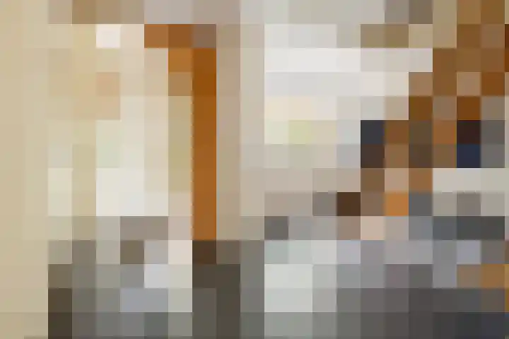 Zandelaan 1 Siddeburen thumbnail 4