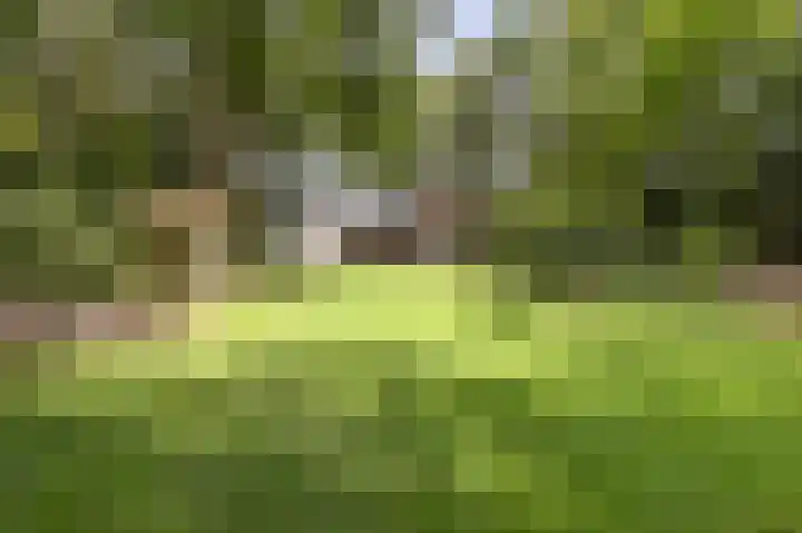 Zandelaan 1 Siddeburen thumbnail 40