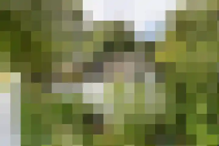 Zandelaan 1 Siddeburen thumbnail 41