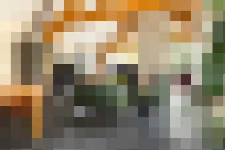 Zandelaan 1 Siddeburen thumbnail 5