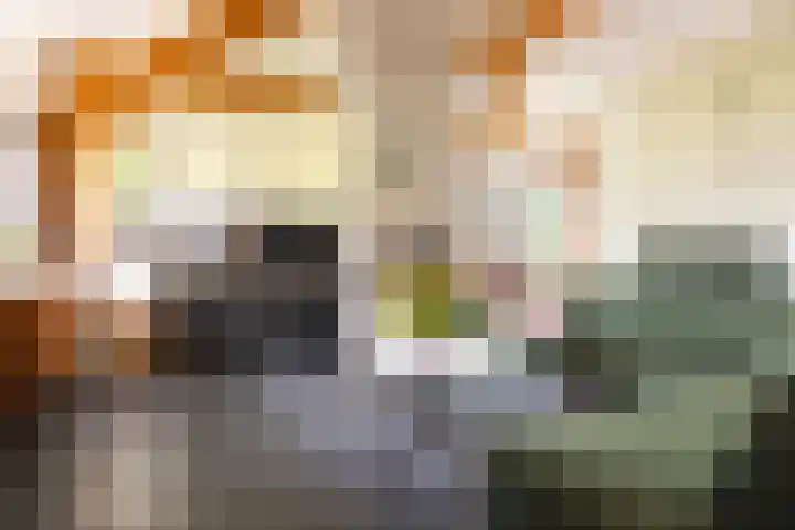 Zandelaan 1 Siddeburen thumbnail 6