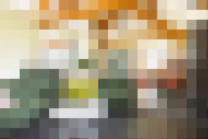 Zandelaan 1 Siddeburen thumbnail 7