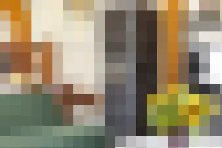 Zandelaan 1 Siddeburen thumbnail 8